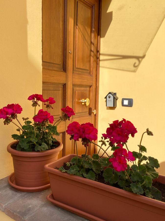Le Casette di Viola Arezzo Esterno foto